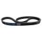 Serpentine Belt