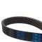 Serpentine Belt