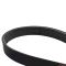 Serpentine Belt