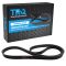 Serpentine Belt