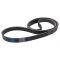 Serpentine Belt
