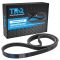 Serpentine Belt