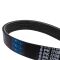 Serpentine Belt