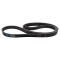Serpentine Belt