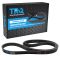 Serpentine Belt