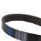 Serpentine Belt