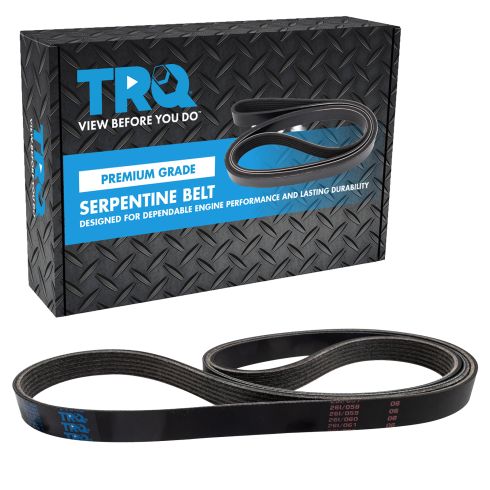 Serpentine Belt