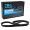 Serpentine Belt