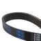 Serpentine Belt