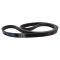 Serpentine Belt