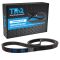 Serpentine Belt