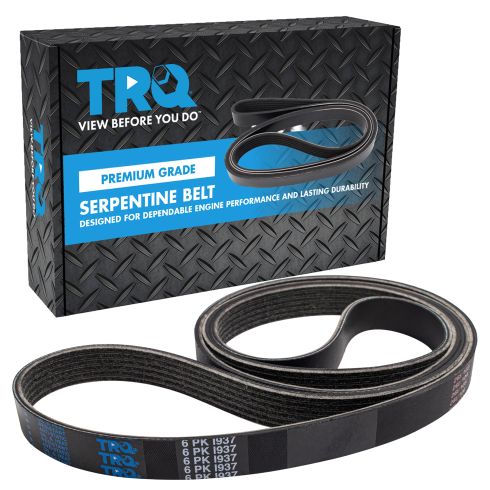 Serpentine Belt