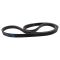 Serpentine Belt