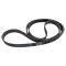 Serpentine Belt