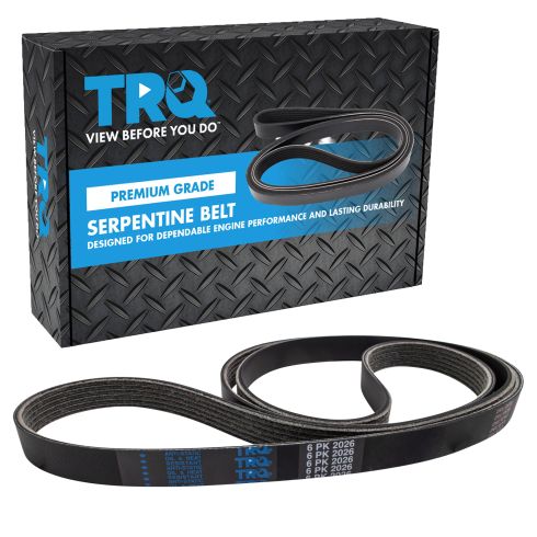 Serpentine Belt