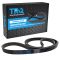 Serpentine Belt
