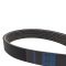 Serpentine Belt