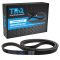 Serpentine Belt
