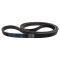 Serpentine Belt