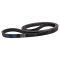 Serpentine Belt
