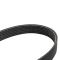 Serpentine Belt
