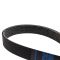 Serpentine Belt
