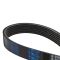 Serpentine Belt