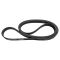 Serpentine Belt