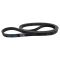 Serpentine Belt