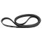 Serpentine Belt
