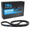Serpentine Belt