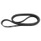 Serpentine Belt