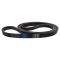 Serpentine Belt