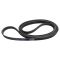 Serpentine Belt