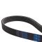 Serpentine Belt