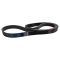 Serpentine Belt