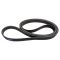 Serpentine Belt