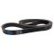 Serpentine Belt