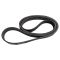 Serpentine Belt