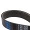 Serpentine Belt