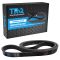 Serpentine Belt