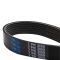 Serpentine Belt