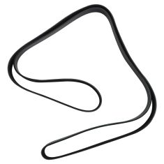 Serpentine Belt