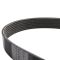 Serpentine Belt