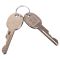 Trunk Lock Cylinder with Keys
