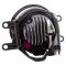 Fog Light