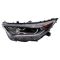 Headlight Assembly