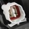Headlight Assembly