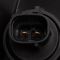 Headlight Assembly