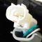 Headlight Set